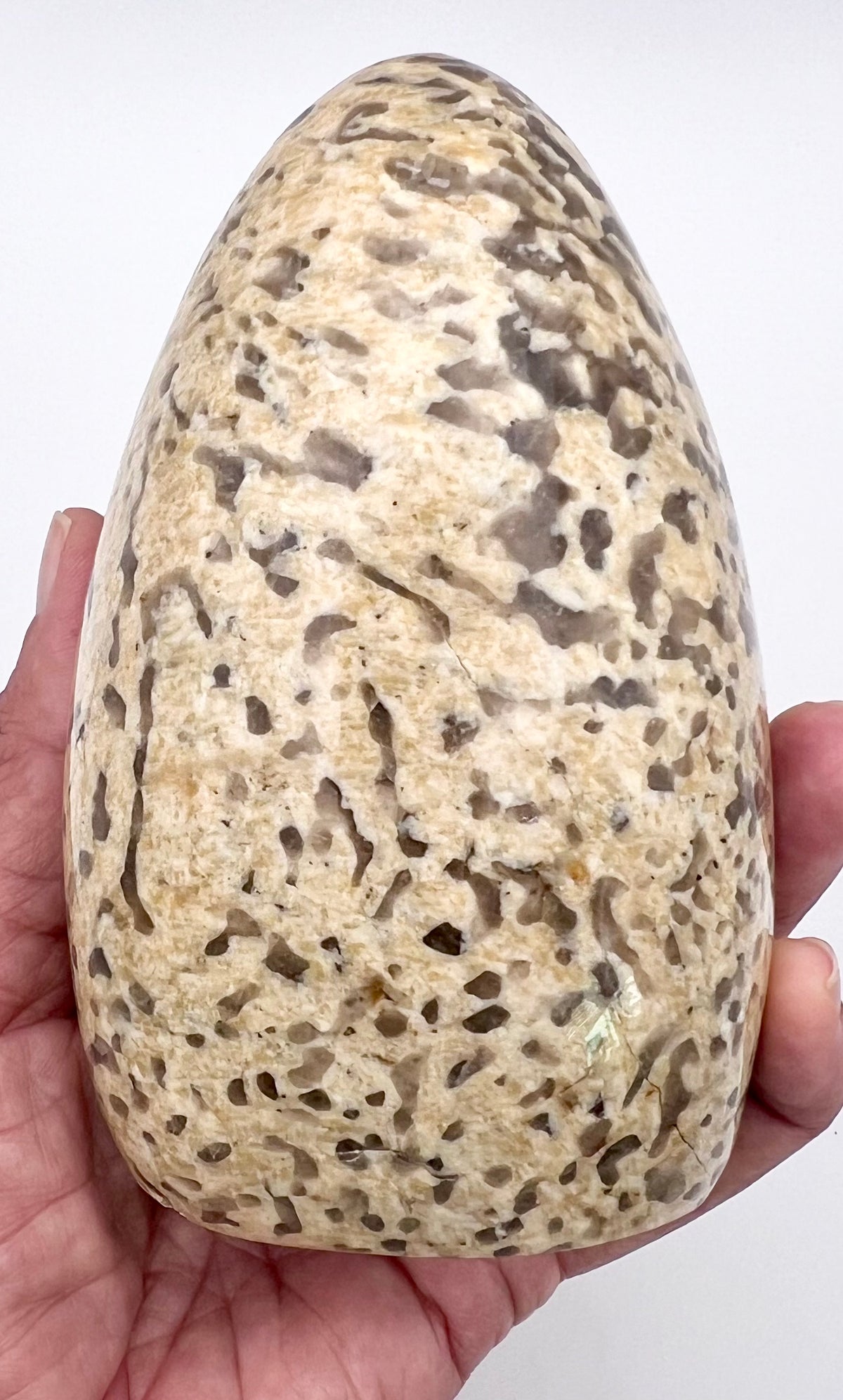 ZEBRA FELDSPAR - FREE FORM