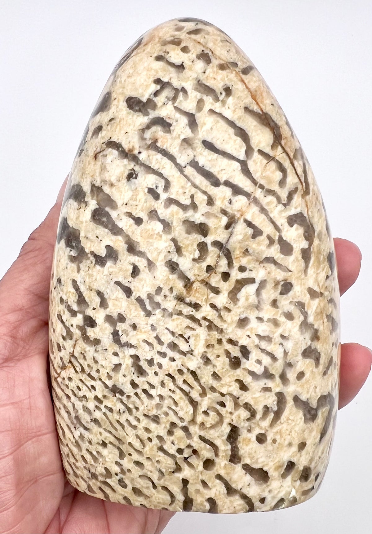 ZEBRA FELDSPAR - FREE FORM