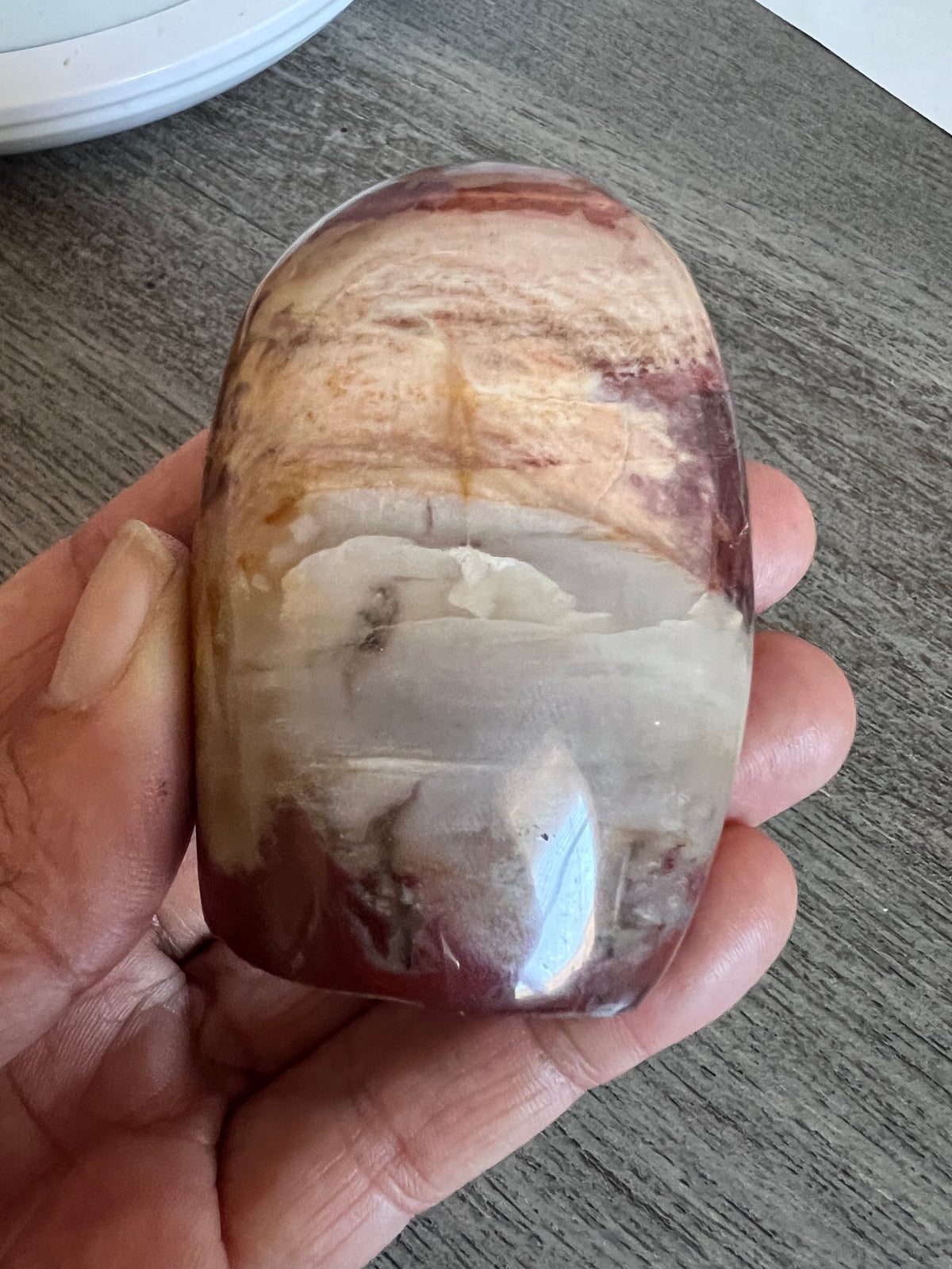 PETRIFIED WOOD - FREE FORM