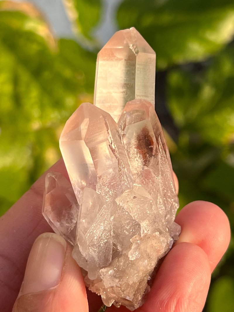 Rare Pink Lemurian Starseed