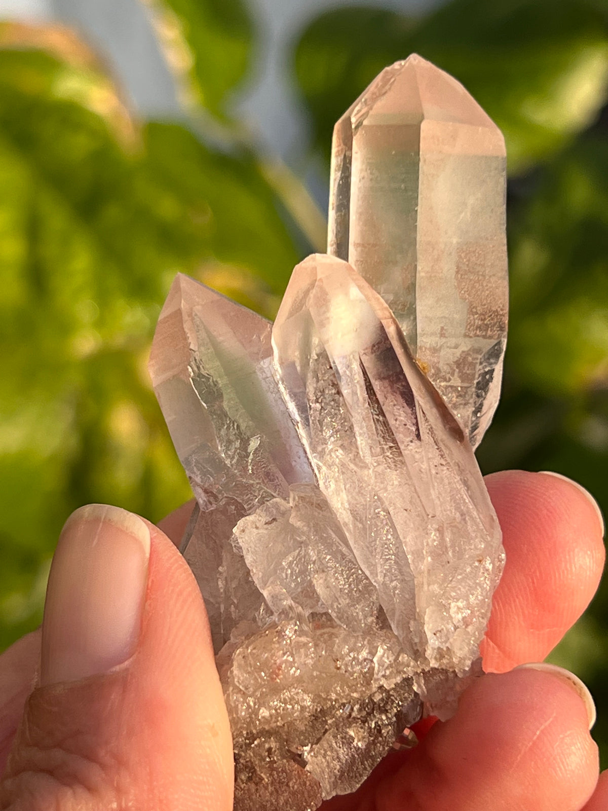 Rare Pink Lemurian Starseed