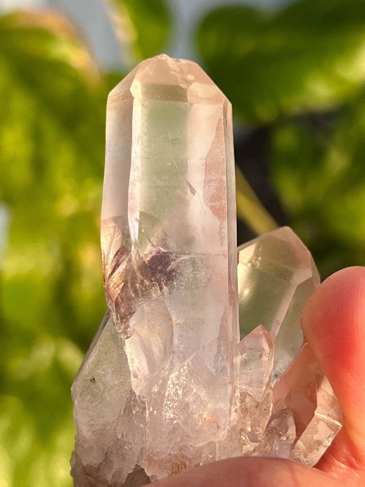 Rare Pink Lemurian Starseed