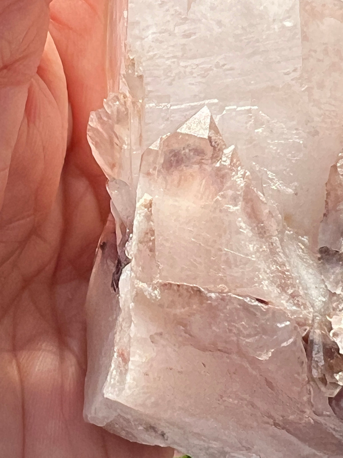 Pink Lemurian Twins