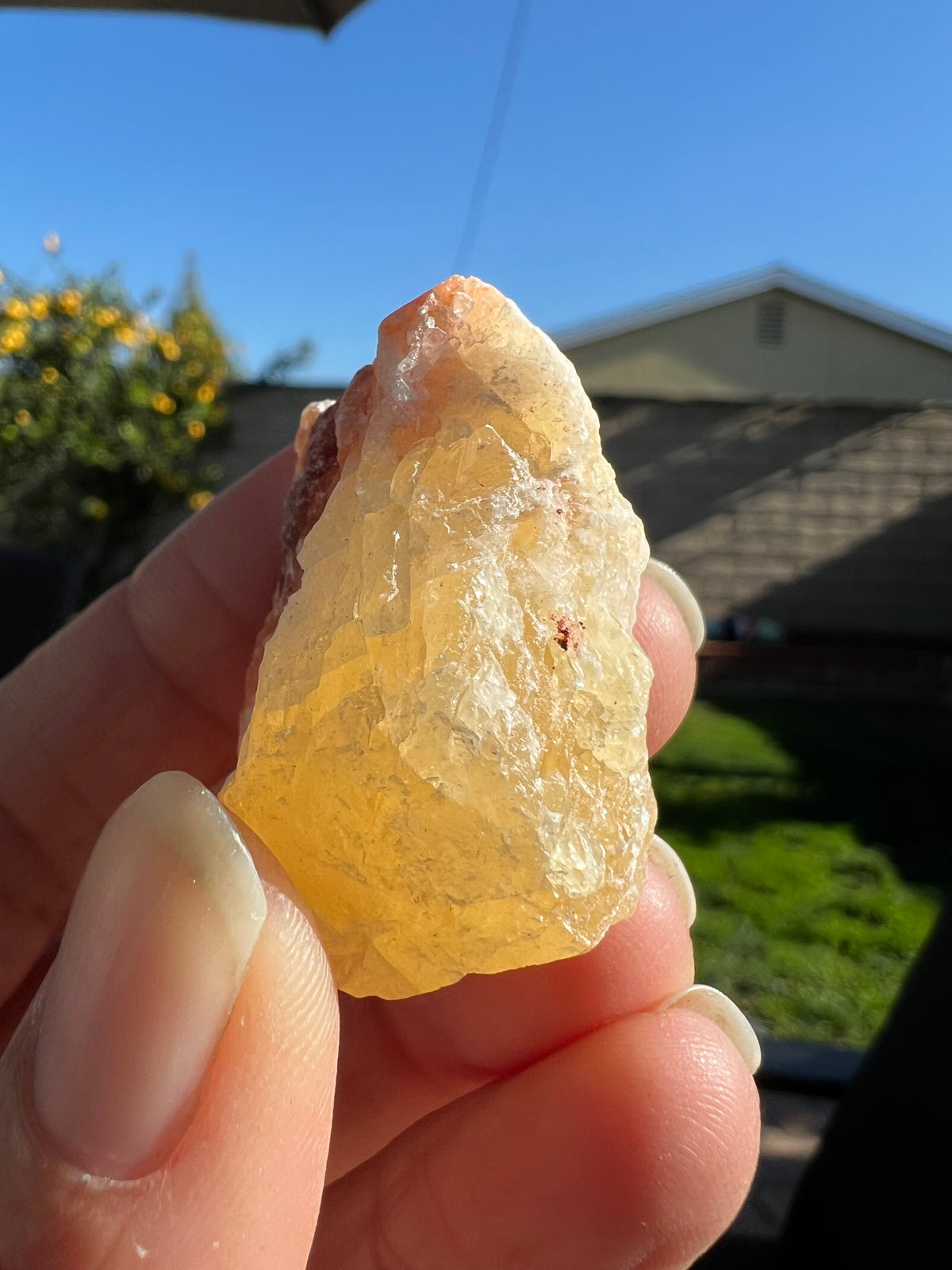 PINEAPPLE CALCITE - ROUGH