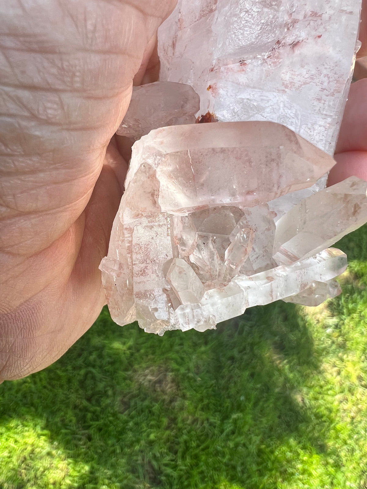 Rare Pink Lemurian